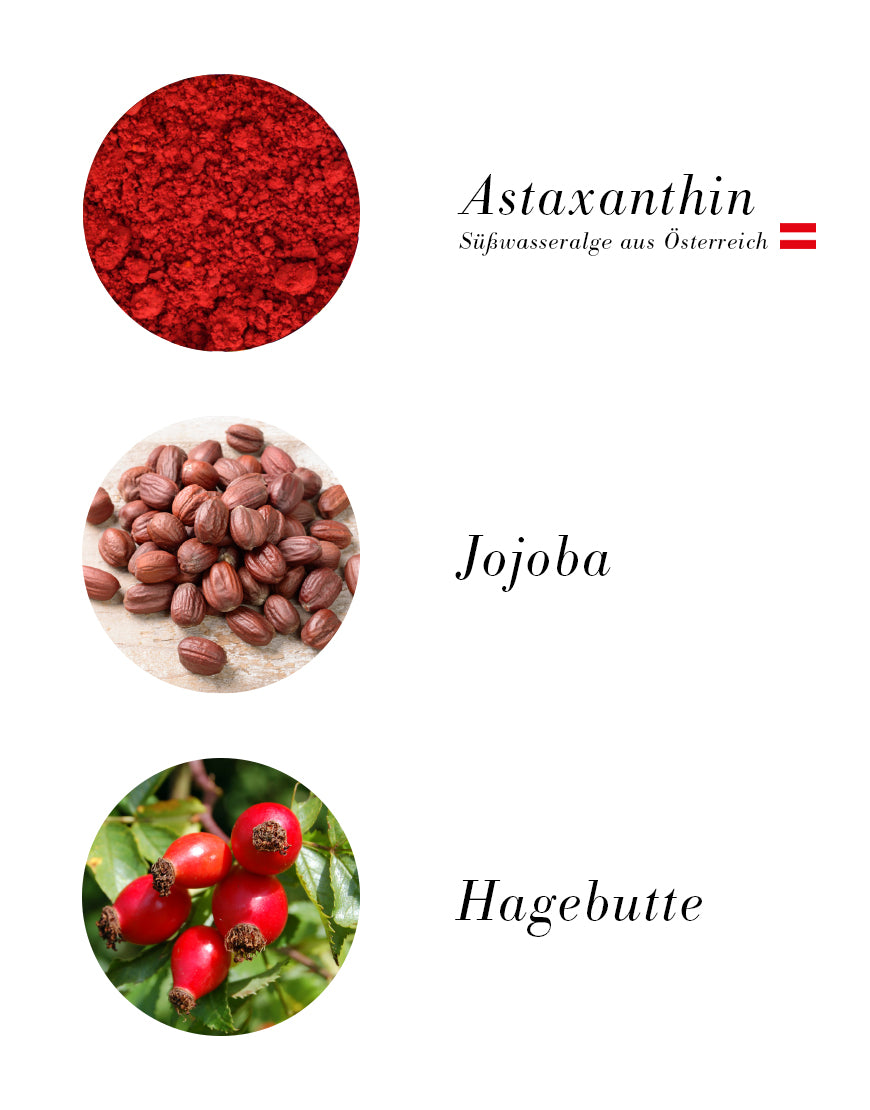 Pro-Youth Trockenöl mit Jojobaöl, Sesamöl und Astaxanthin, dargestellt durch Jojoba-Samen, Astaxanthin-Pulver und Hagebutten, für antioxidativen Schutz und seidig-glattes Hautgefühl. Bio & vegan.