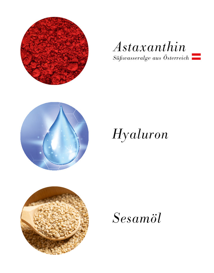 Zutatenaufstellung für die Pro‑Youth Gesichtscreme: Astaxanthin (österreichische Alge), Hyaluronsäure (blauer Tropfen), Sesamöl (Sesamsamen auf Holzlöffel).