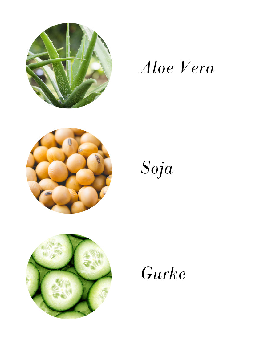 Tagescreme mit Gurkenwasser & Hyaluronsäure zeigt Aloe Vera, Soja, Gurke – Bio & Vegan, spendet Feuchtigkeit, pflegt geschmeidig, aus Österreich.