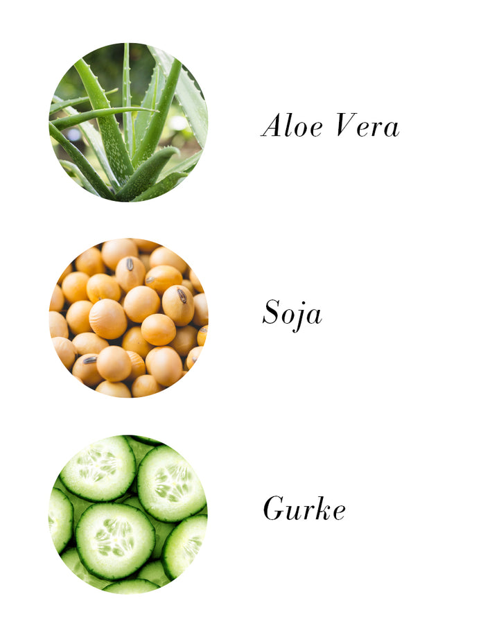 Tagescreme mit Gurkenwasser & Hyaluronsäure zeigt Aloe Vera, Soja, Gurke – Bio & Vegan, spendet Feuchtigkeit, pflegt geschmeidig, aus Österreich.