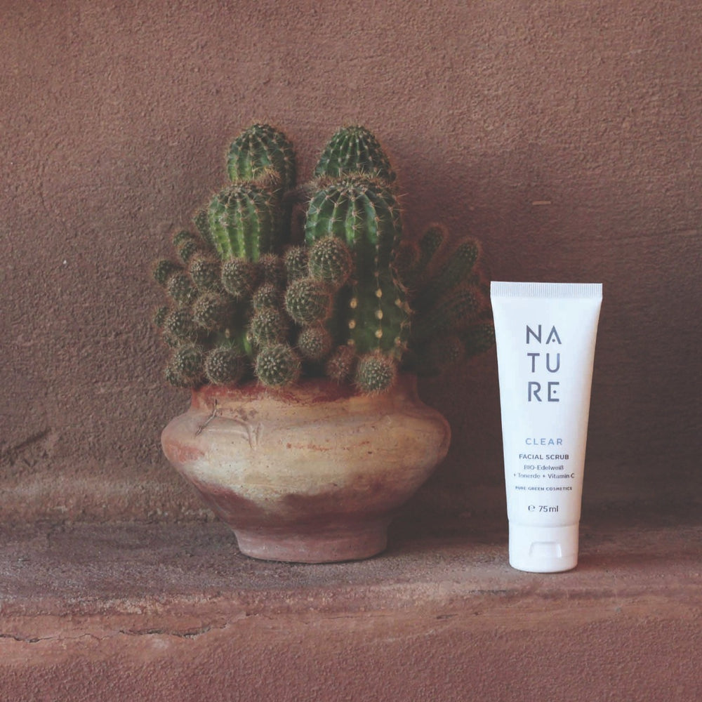 Gesichtspeeling mit natürlichen Peelingpartikeln & Tonerde neben einem Kaktus in einem Terrakottatopf, auf einem rustikalen Regal für porentiefe Reinigung und verfeinerte Poren.