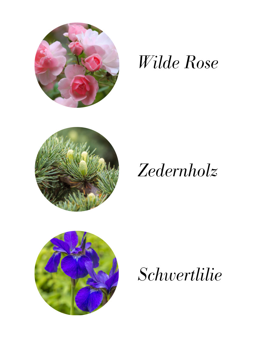 Raumduft mit Wildrosen, Schwertlilien und Zedernholz, harmonisierend und aufheiternd. Natürliche Duftkomposition für eine entspannende Atmosphäre. Bio und vegan.