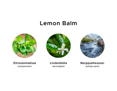 Flüssigseife BIO 3L | Lemon Balm/Melisse