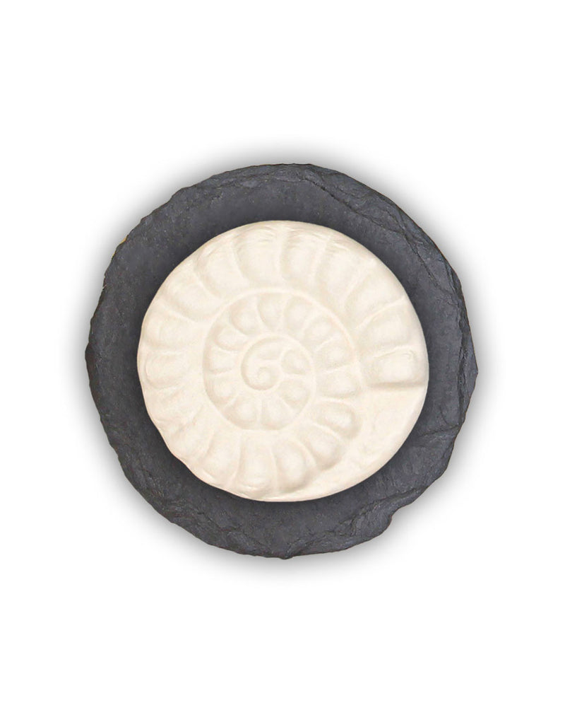 Schiefer-Unterteller und Duftstein „Ammonit“