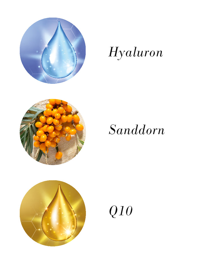 Vitality Tagescreme mit Q10 & Sanddornextrakt: Ikonen für Hyaluron, Sanddorn und Q10 zeigen Anti-Aging-Wirkstoffe für strahlende, samtige Haut. Bio & vegan.